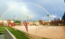 The Summer of Volleyball