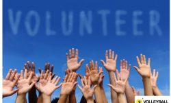 WE NEED YOU!! – Volunteer at the 2017 AVL