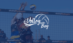 Volley by the Bay Preview