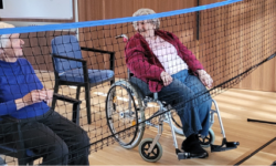 Could Volleyball be the ideal physical activity for our aging population