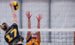 Perth Steel Women’s Opposite/Outside Hitter Clinic