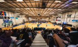 WAVL State League Elimination Finals Preview: Teams Fight to Stay in the Race