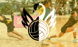 Spike Into October: Performance and Pathway Opportunities Ahead